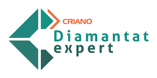 diamantat-expert-logo